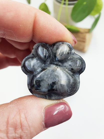 Cat Paw Crystal Carving