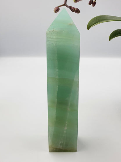 Caribbean Calcite Tower