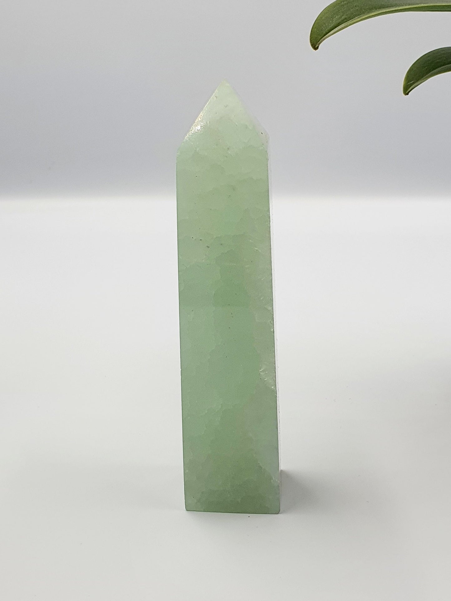 Caribbean Calcite Tower