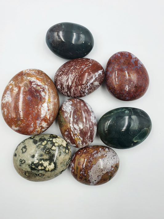 Ocean Jasper Palms