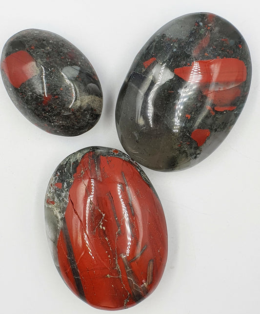 African Bloodstone Palms