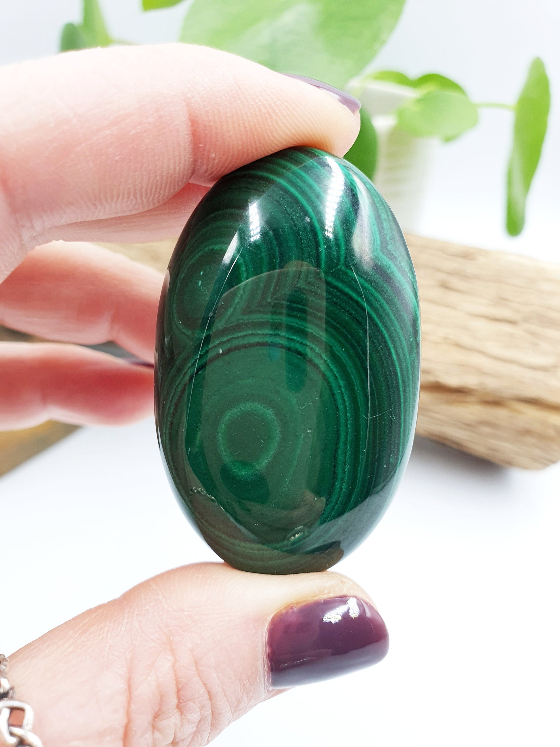 Natural Silky Smooth Malachite Palm