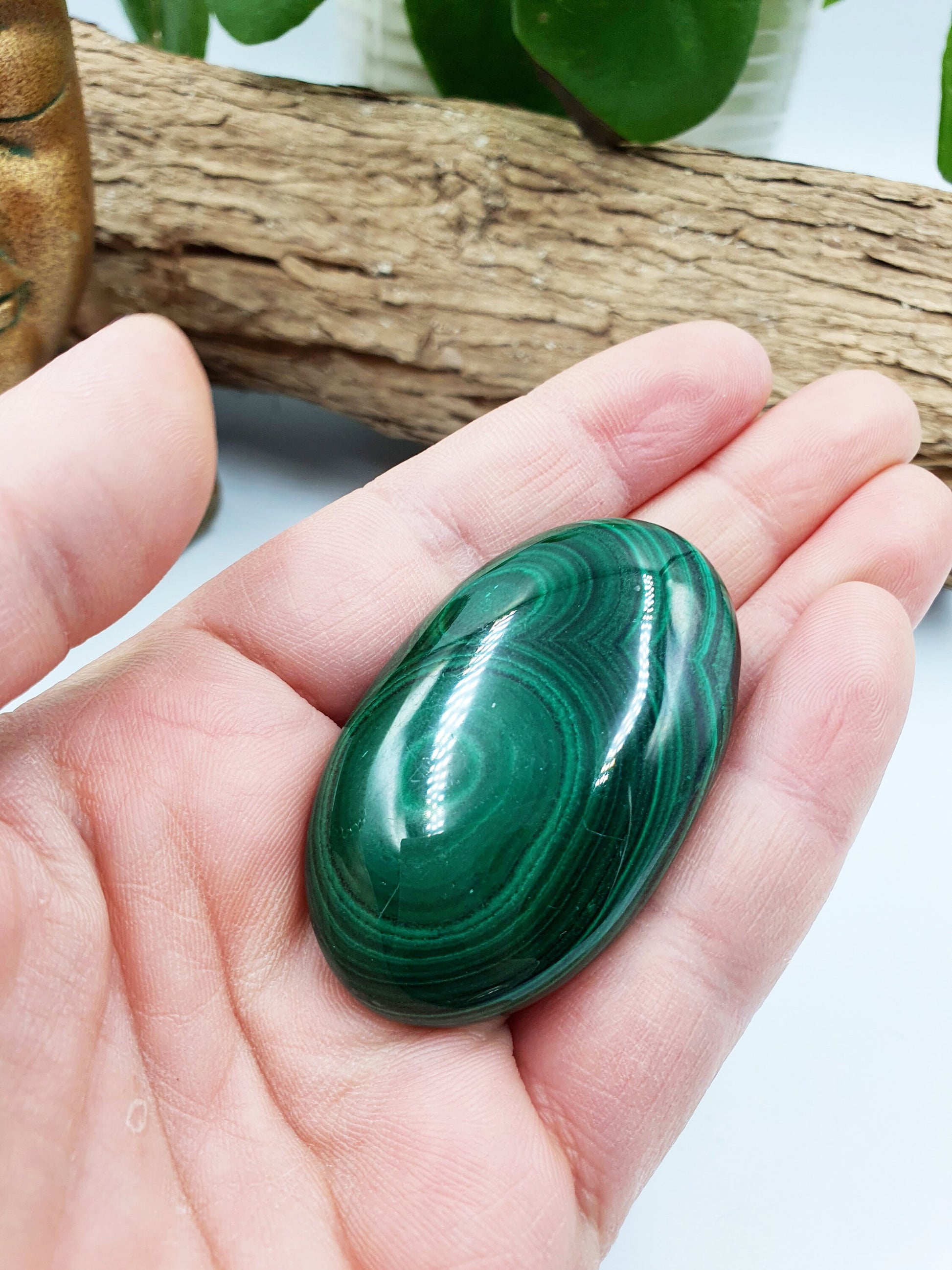 Natural Silky Smooth Malachite Palm