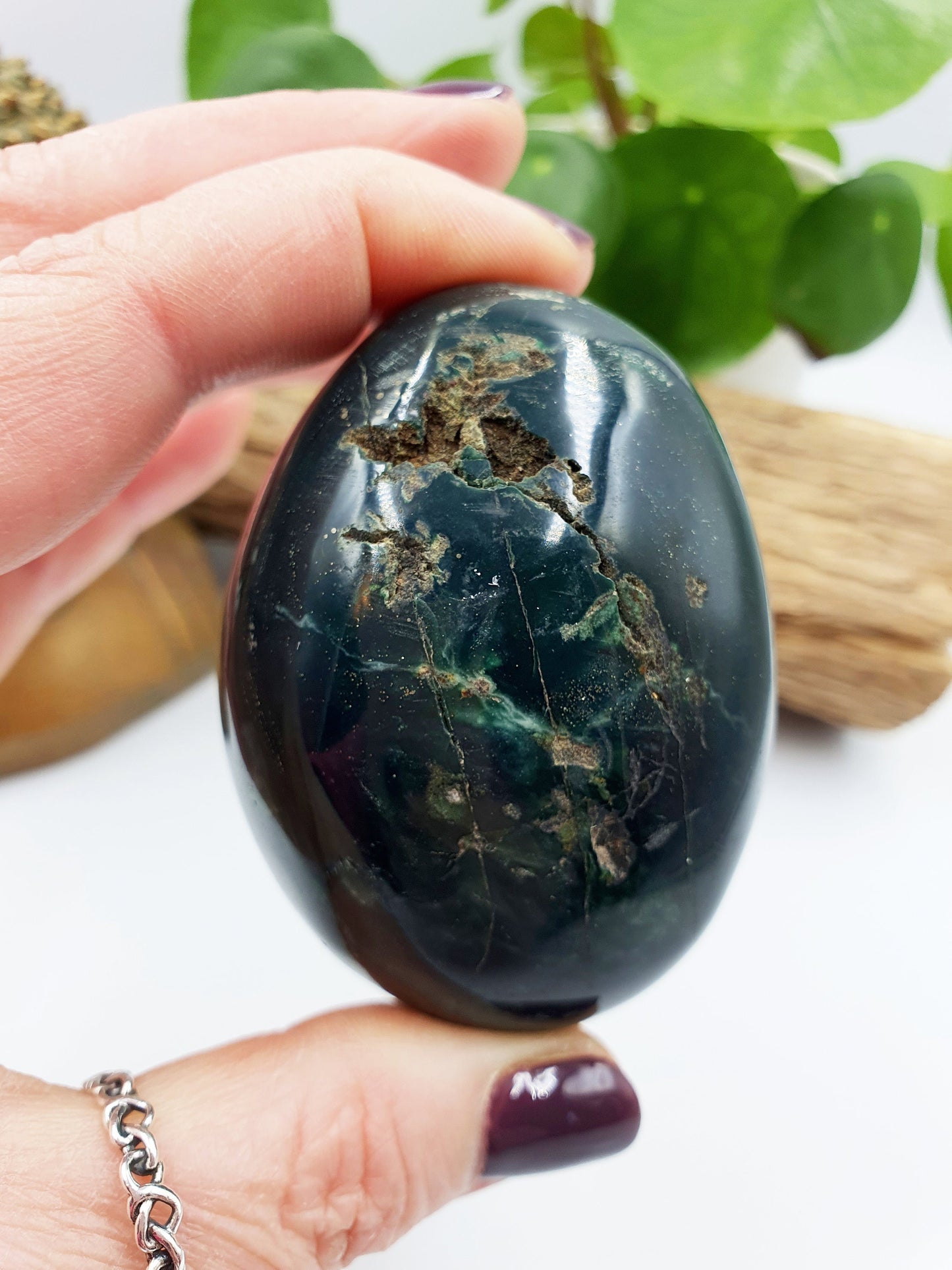 Large Ocean Jasper Palm