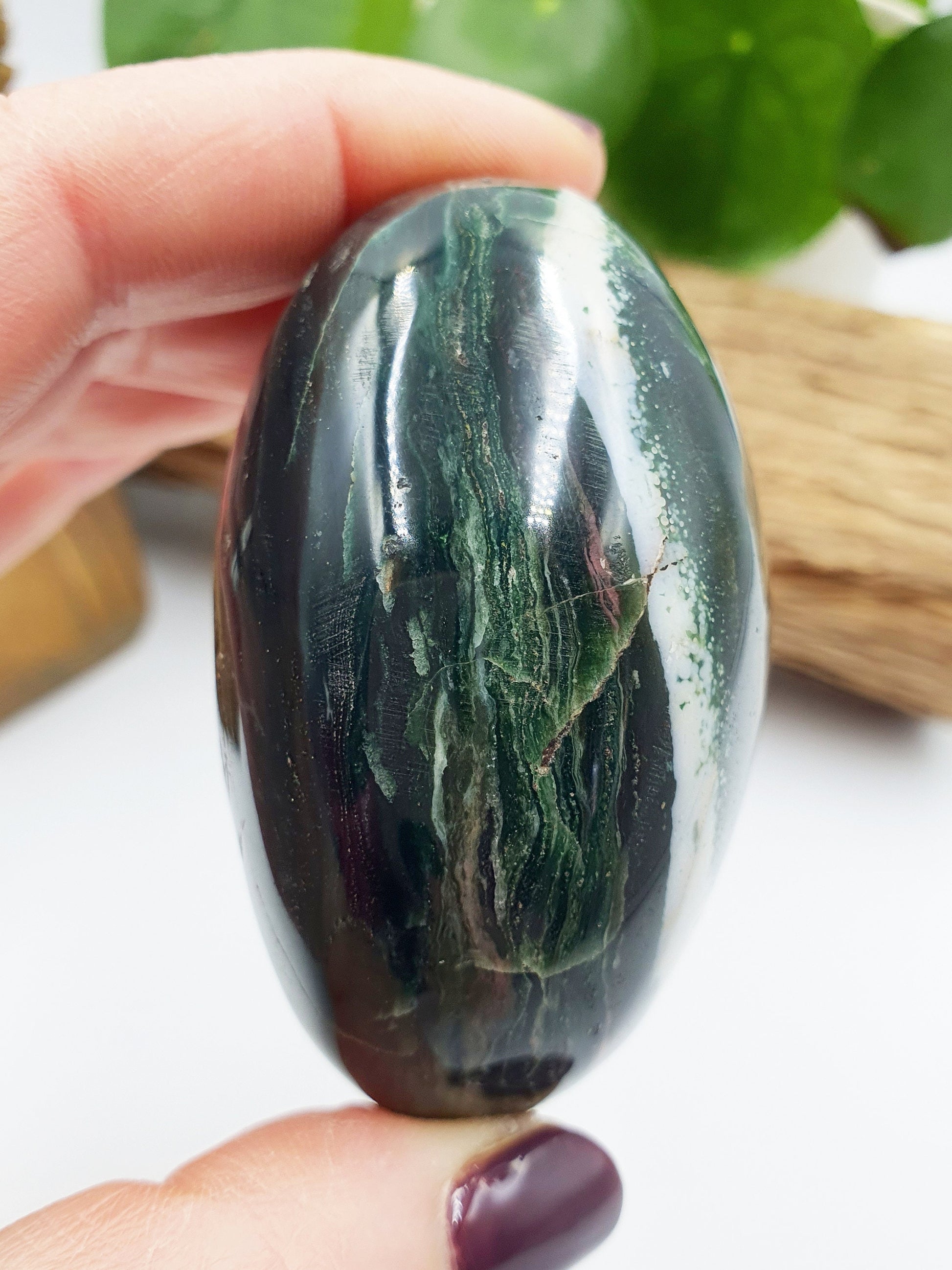 Large Ocean Jasper Palm