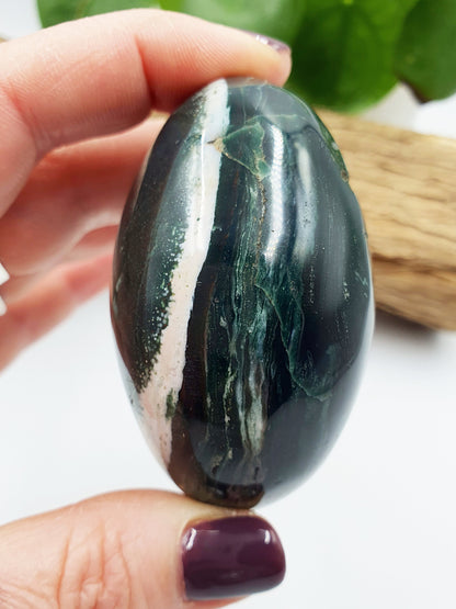 Large Ocean Jasper Palm