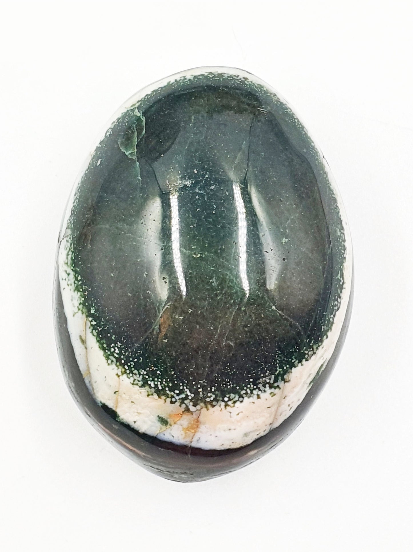 Large Ocean Jasper Palm