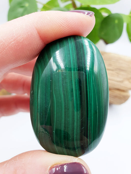 Natural Silky Smooth Malachite Palm