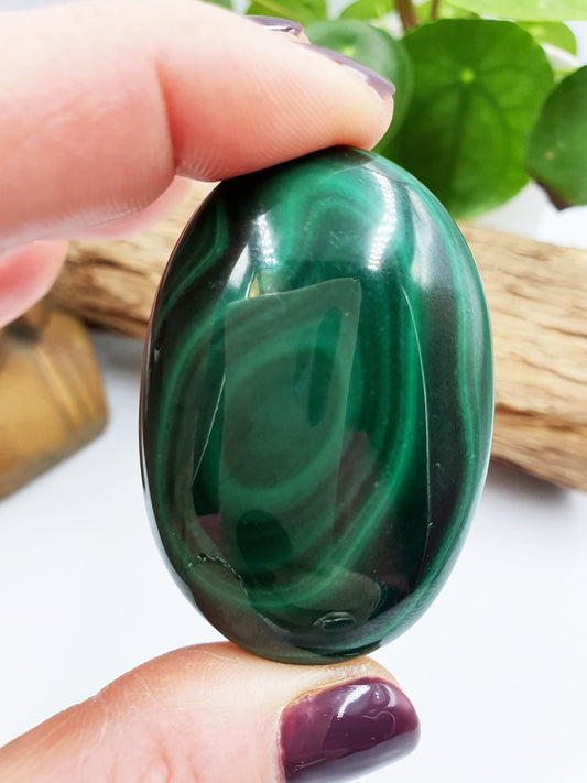 Natural Silky Smooth Malachite Palm