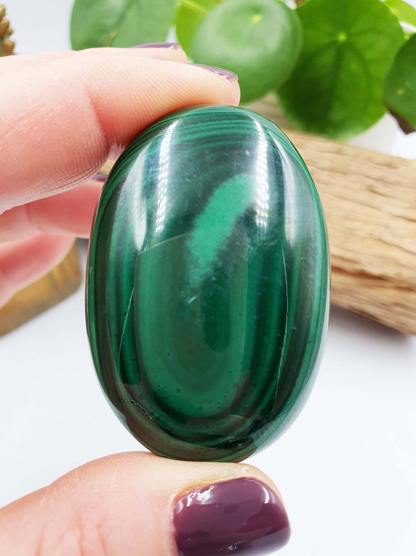 Natural Silky Smooth Malachite Palm