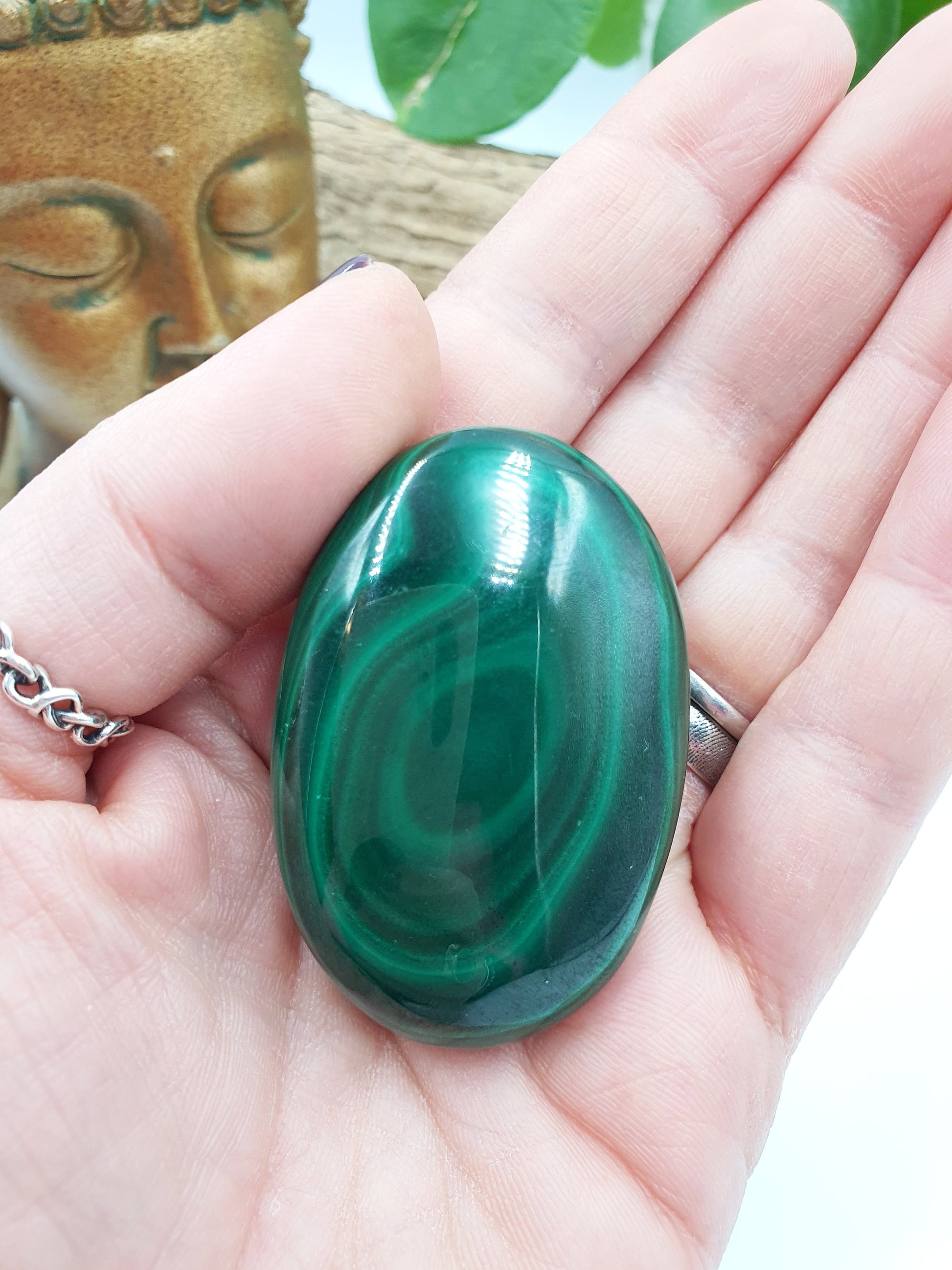 Natural Silky Smooth Malachite Palm