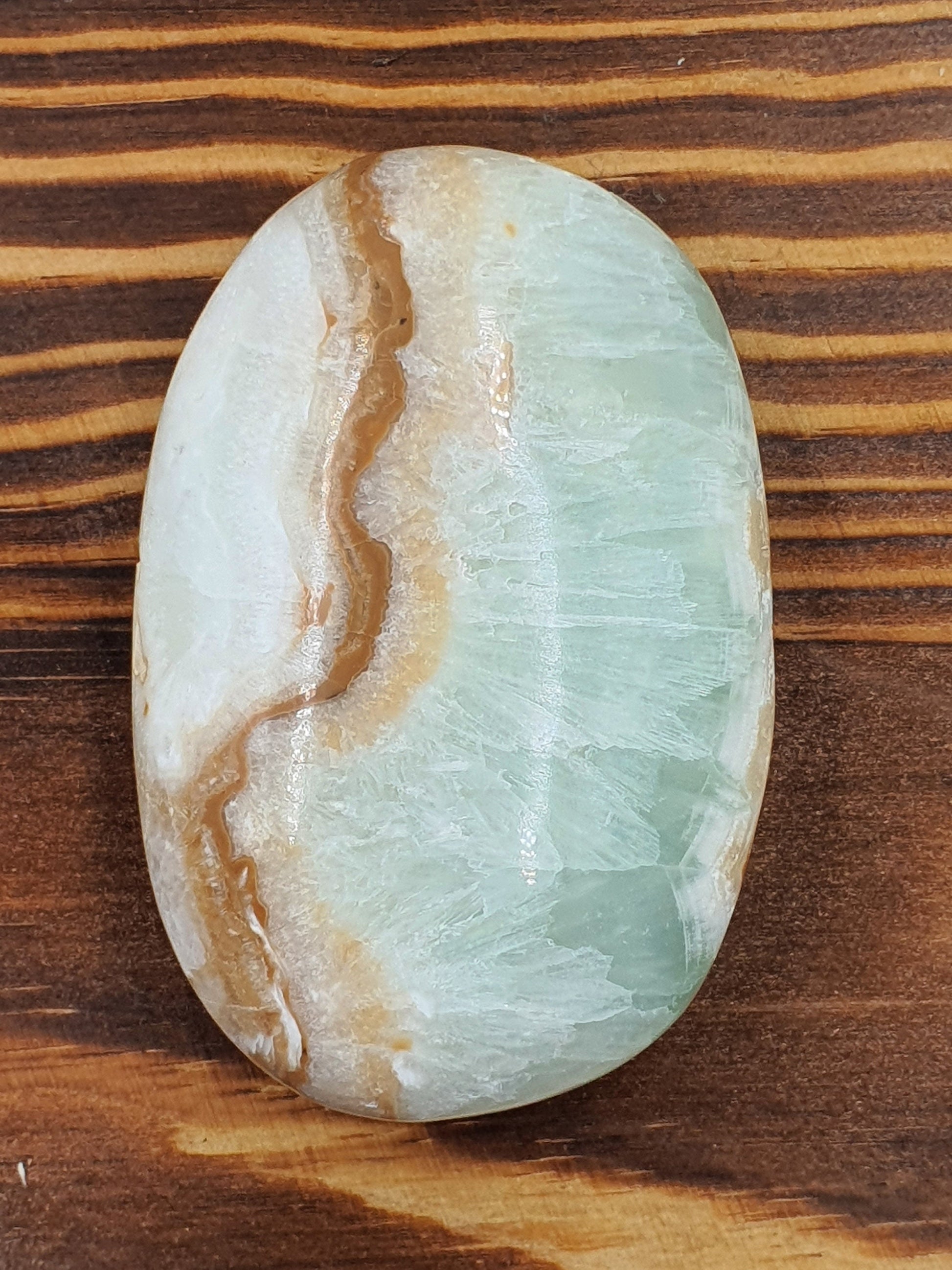 Caribbean Calcite Palm