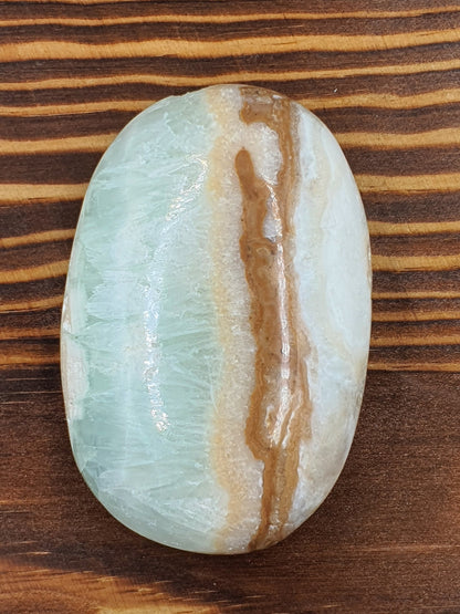 Caribbean Calcite Palm