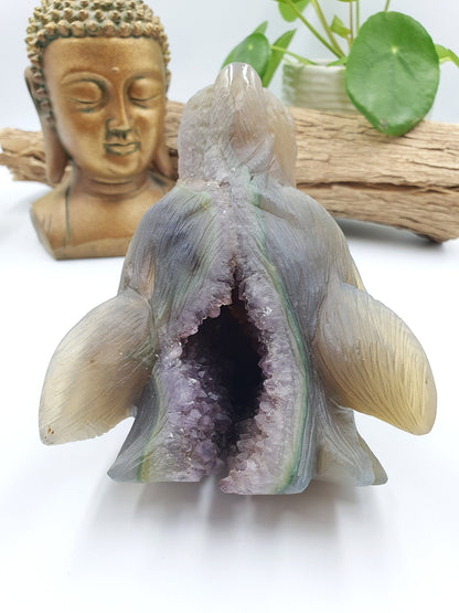 Unique Large Drusy Amethyst Agate Wolf Head