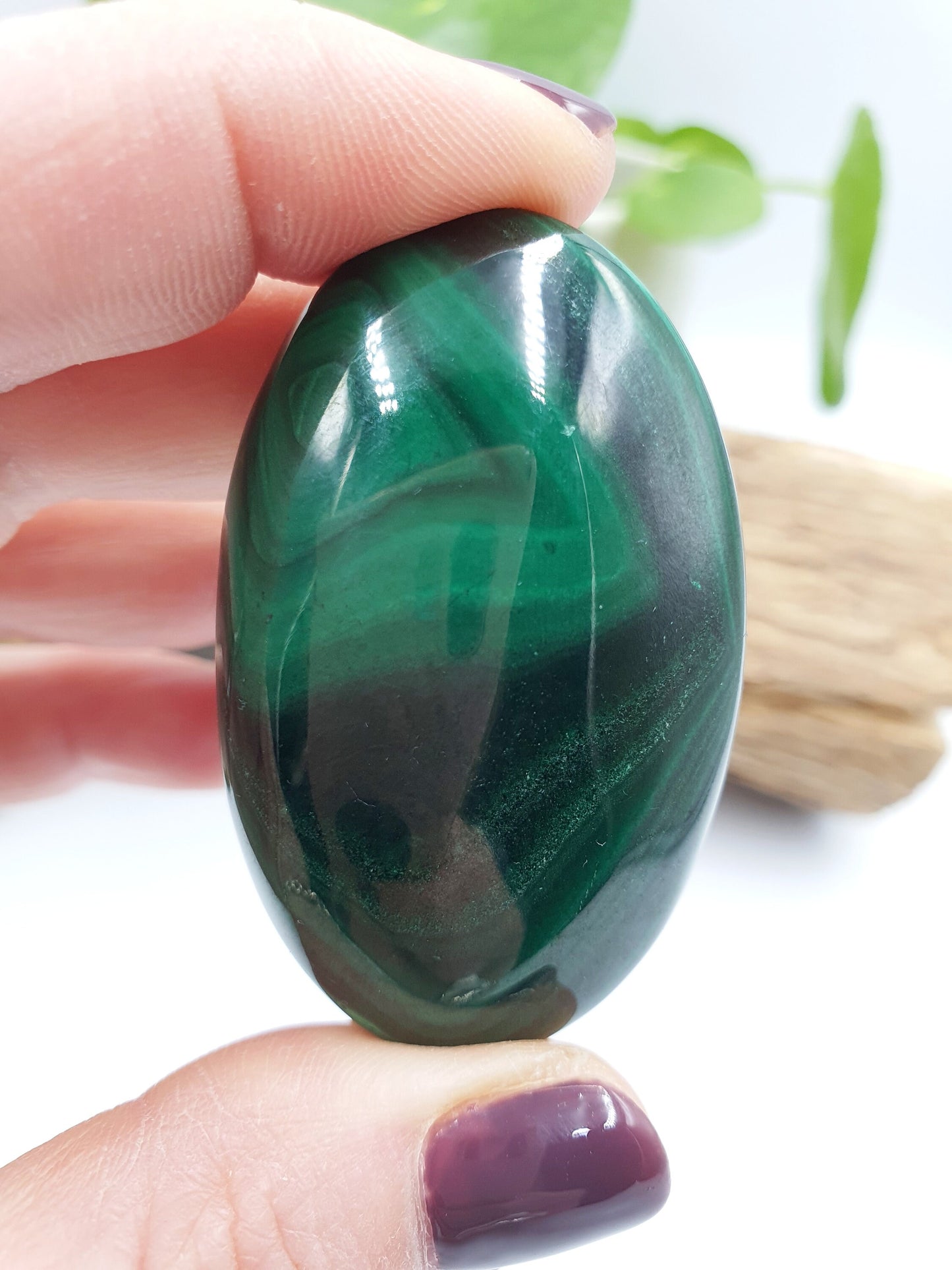 Natural Silky Smooth Malachite Palm