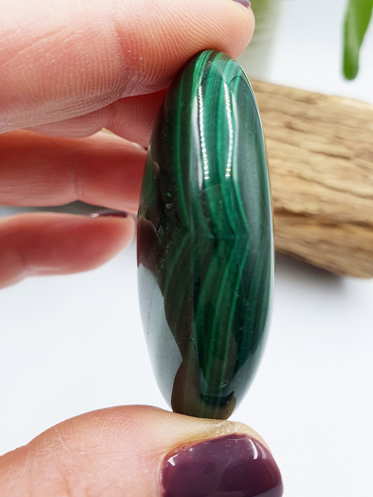 Natural Silky Smooth Malachite Palm