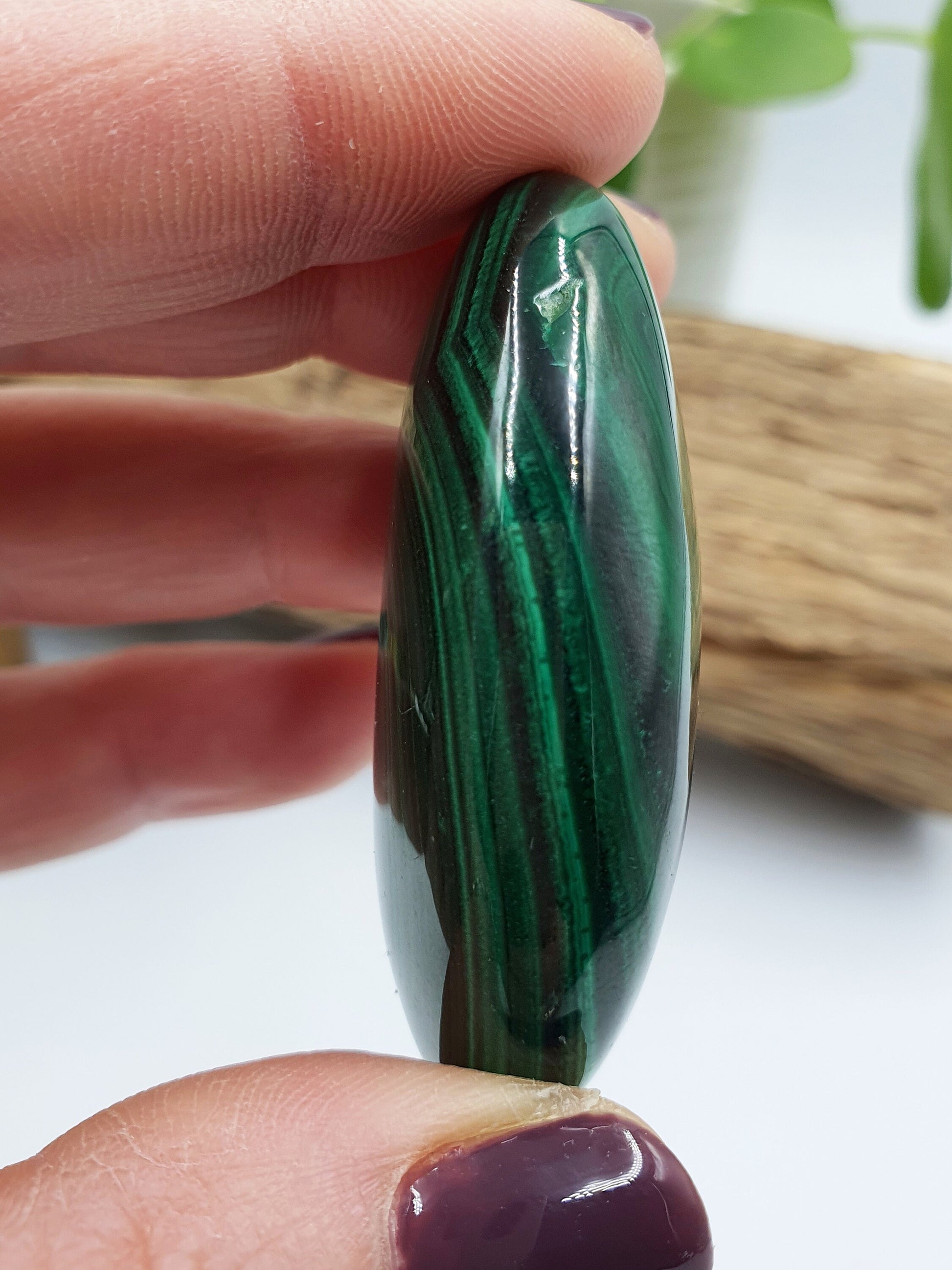 Natural Silky Smooth Malachite Palm