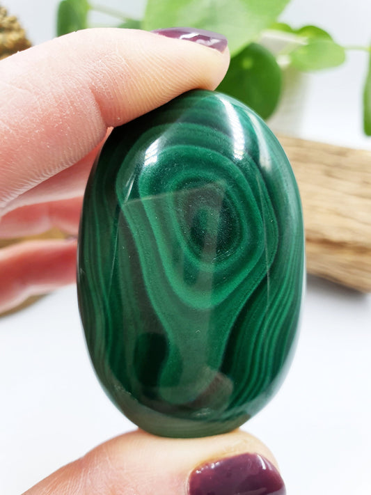 Natural Silky Smooth Malachite Palm