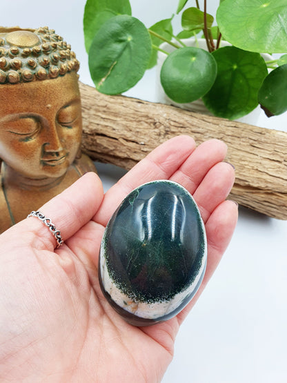 Large Ocean Jasper Palm