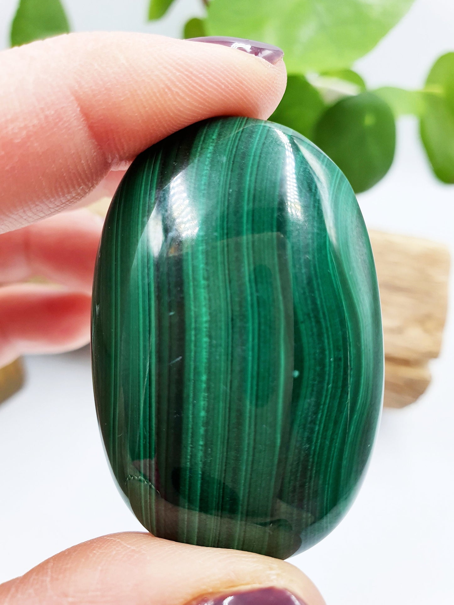 Natural Silky Smooth Malachite Palm