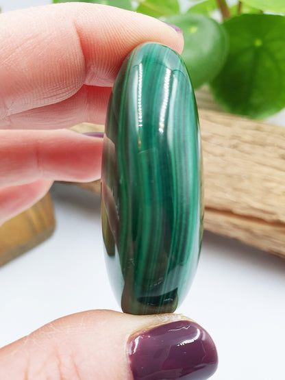 Natural Silky Smooth Malachite Palm