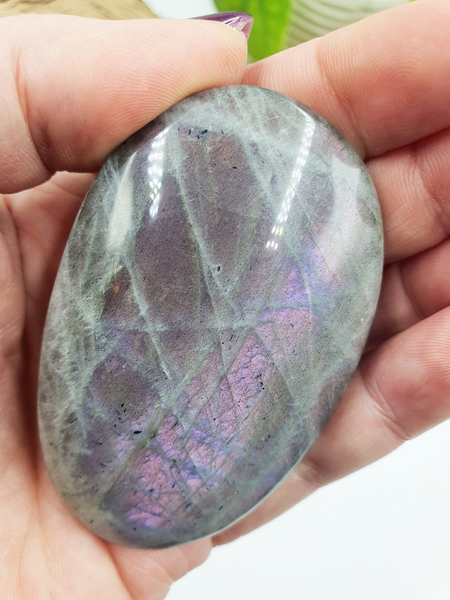 A Grade Pink Labradorite Palm