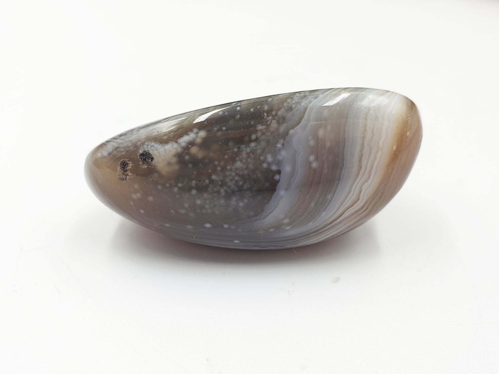 Botswana Agate Palm