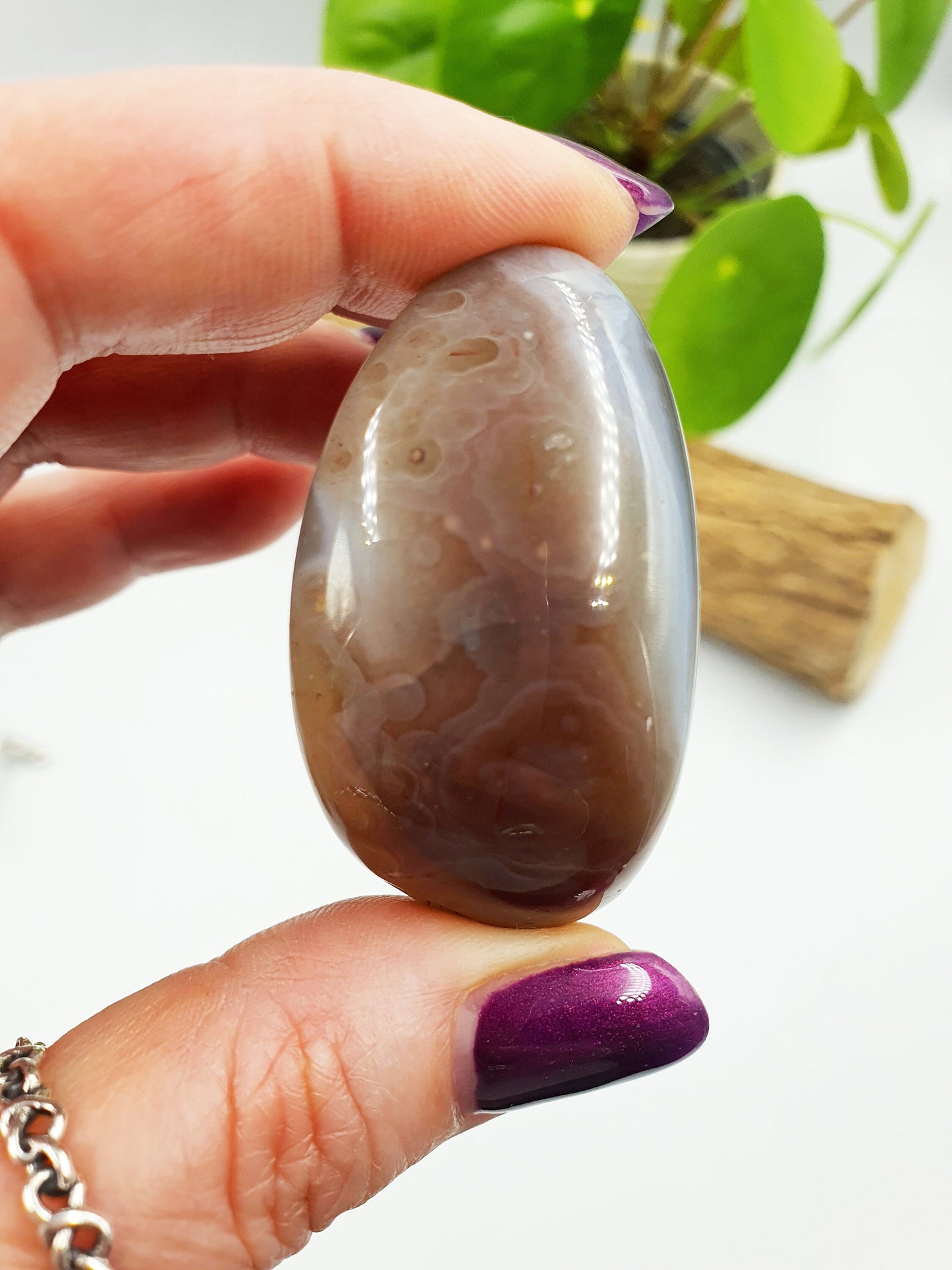 Botswana Agate Palm