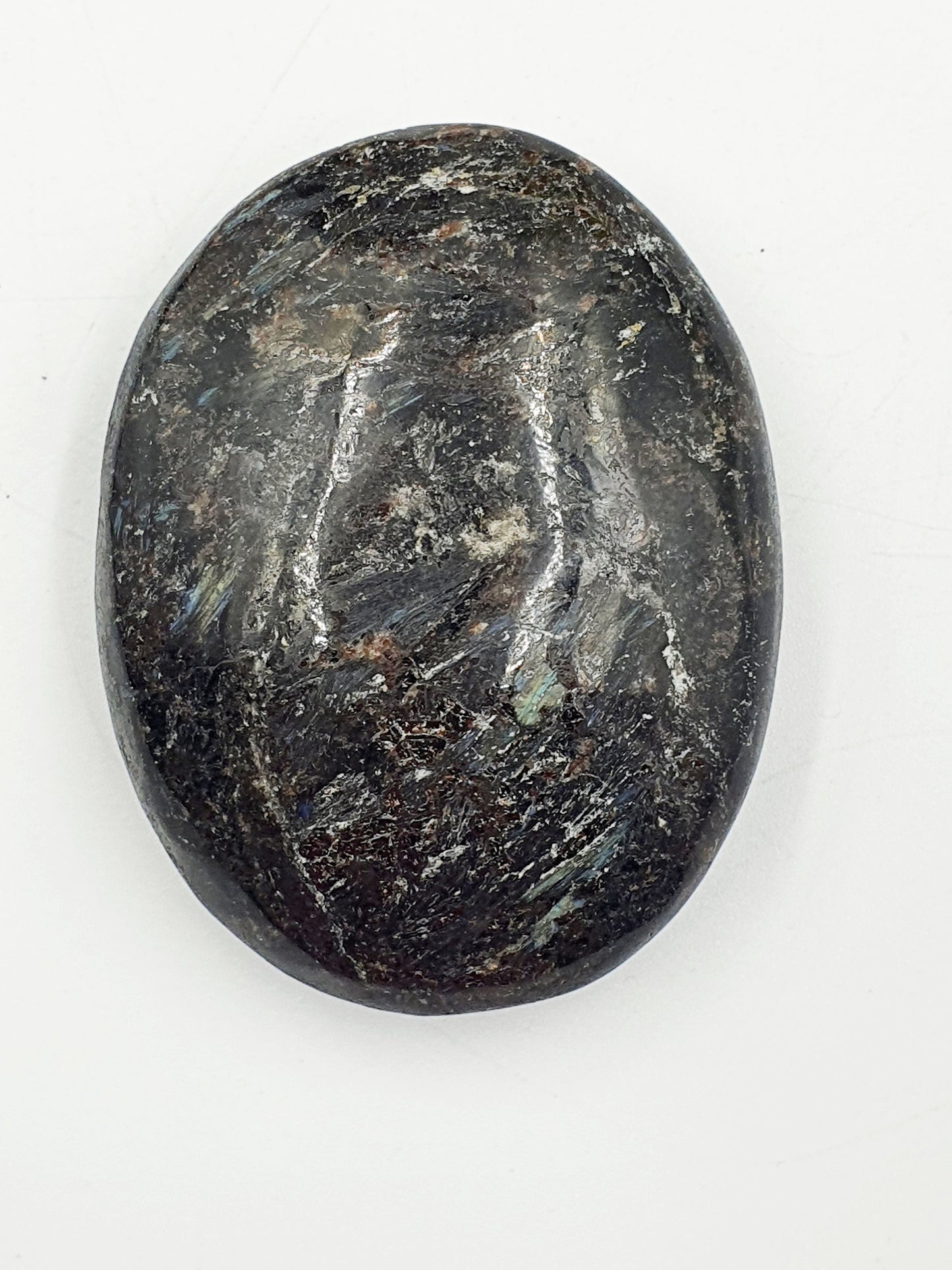 Astrophyllite and Garnet Palm