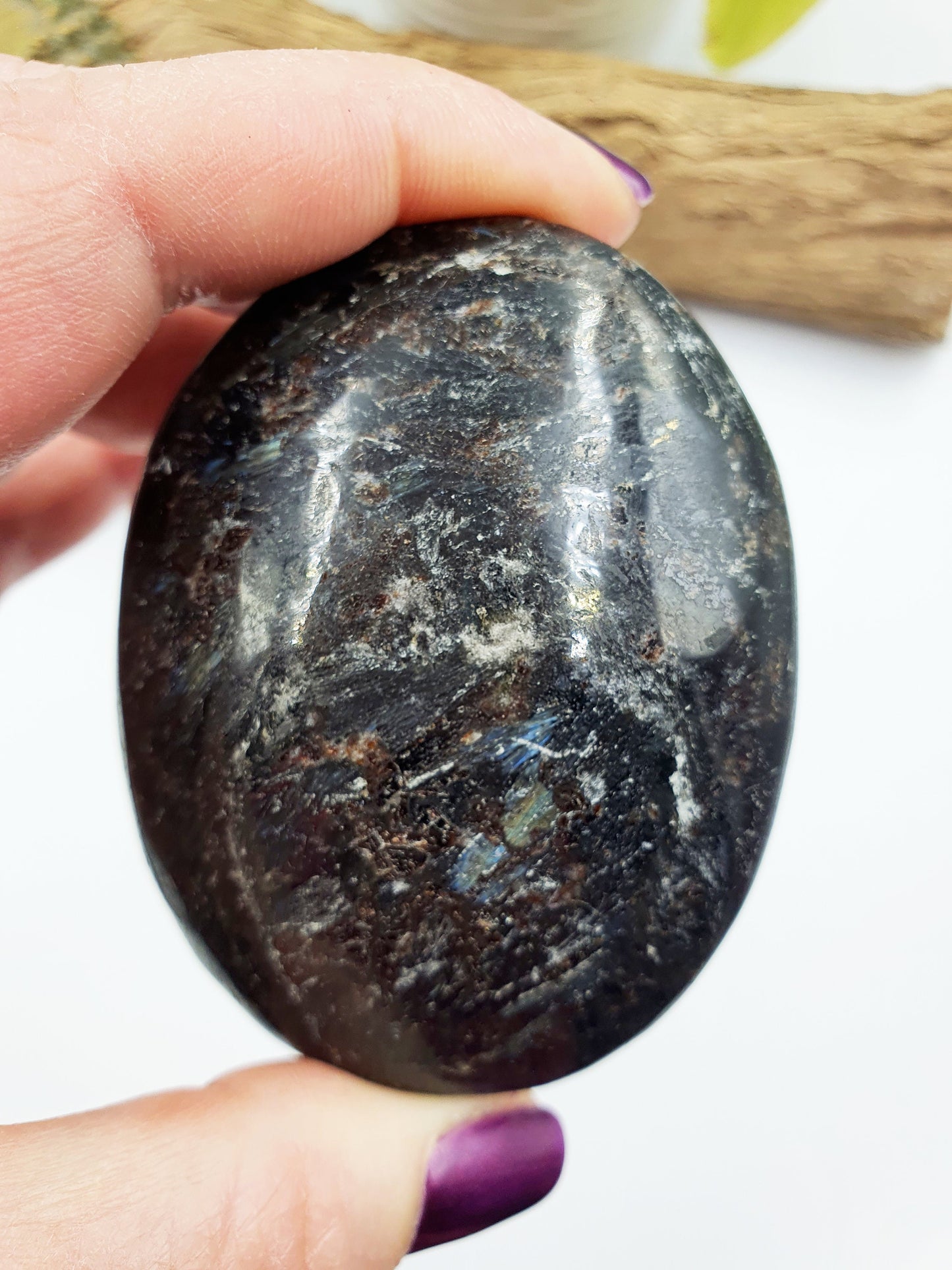 Astrophyllite and Garnet Palm