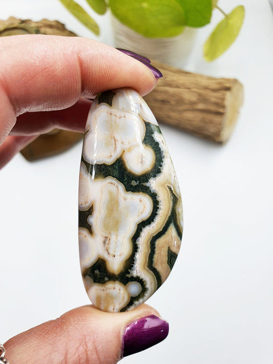 Rare 8th Vein Ocean Jasper Palm