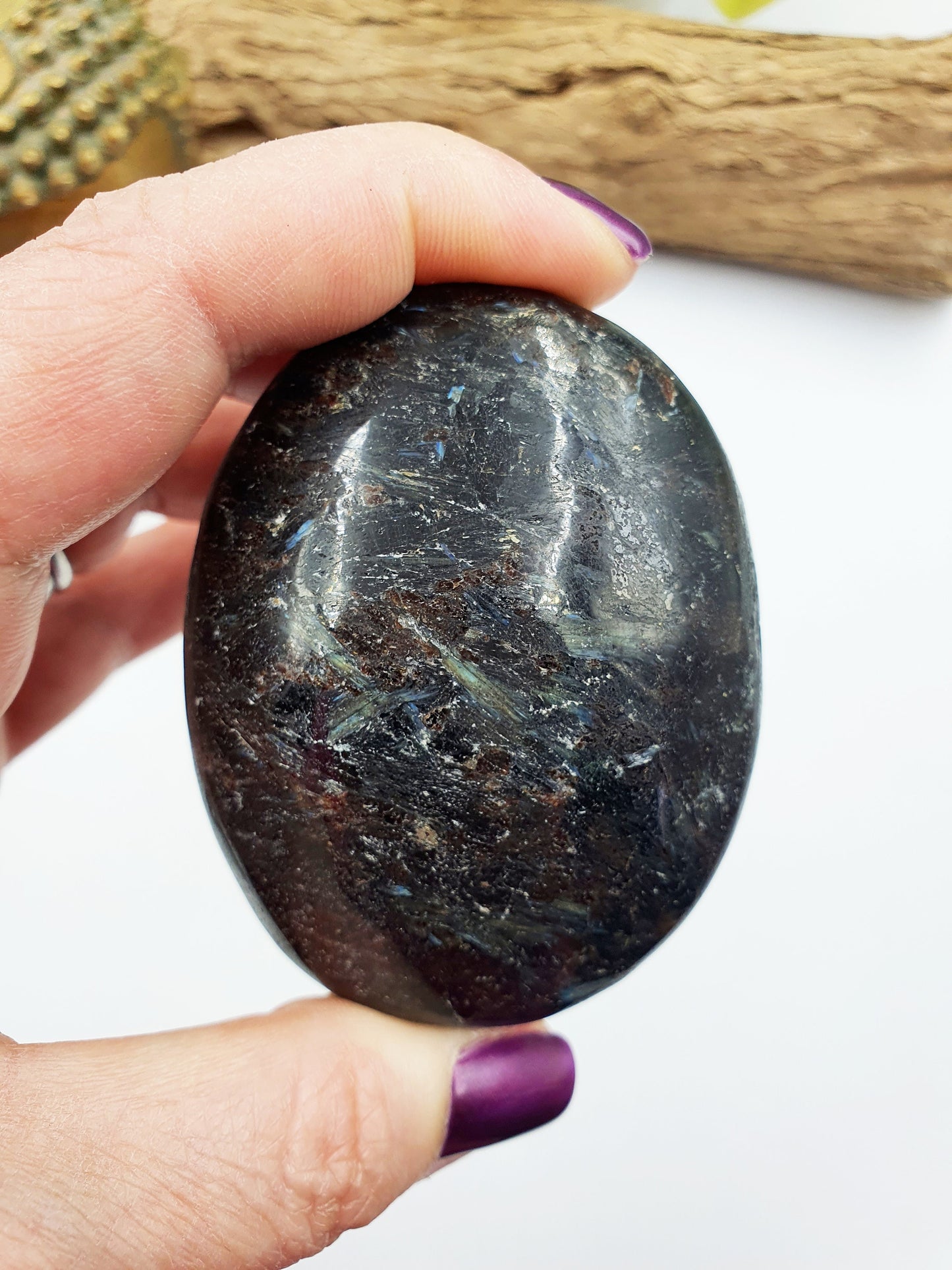 Astrophyllite and Garnet Palm