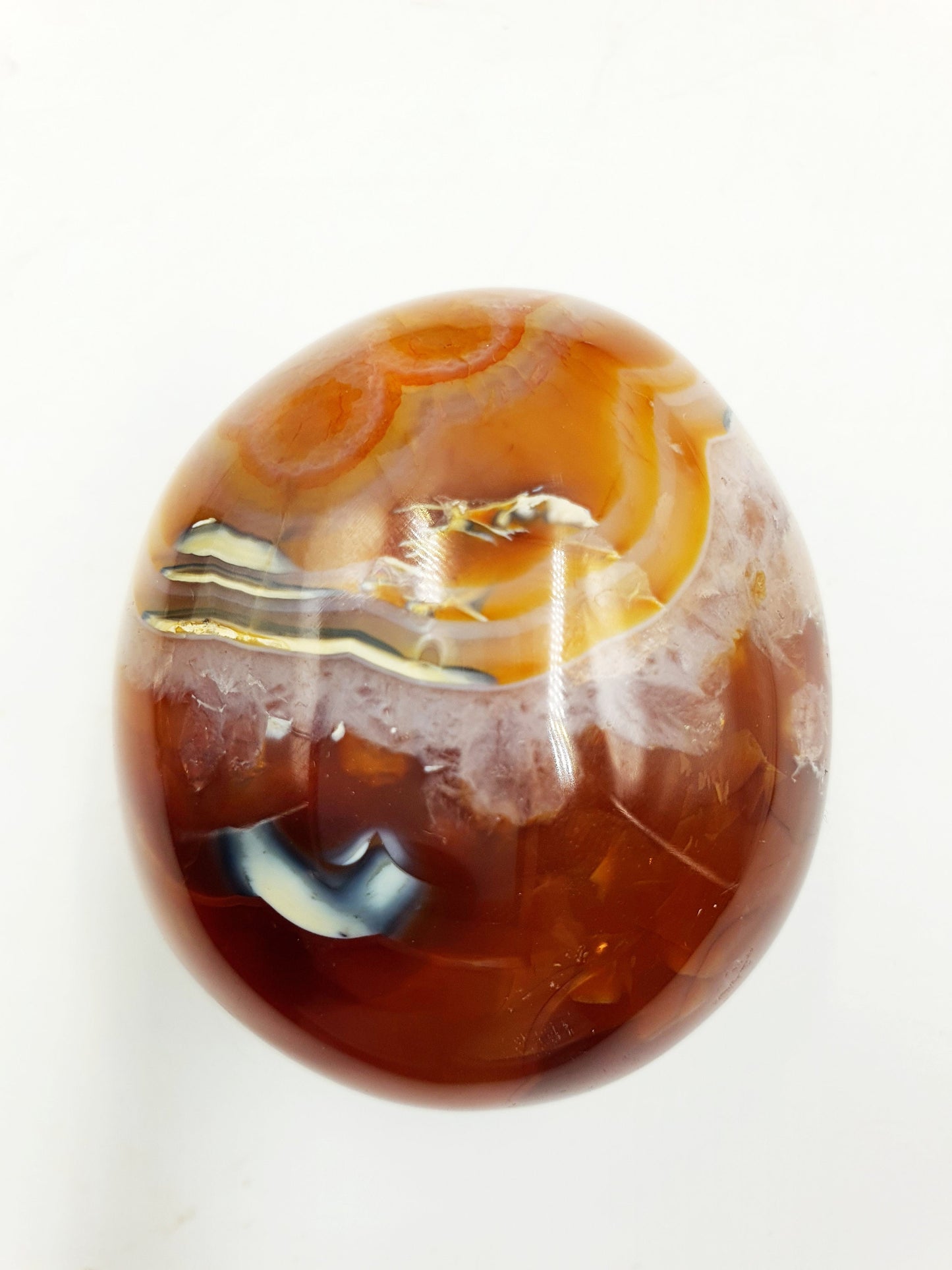 Large Carnelian Palm