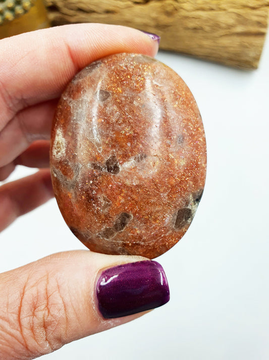 Large Flashy Sunstone Palm