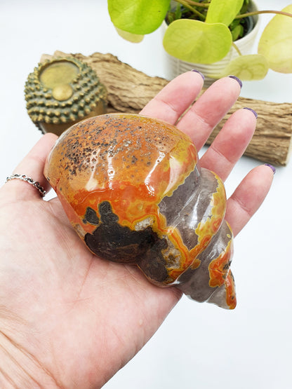 Warring States Red Agate Crystal Shell