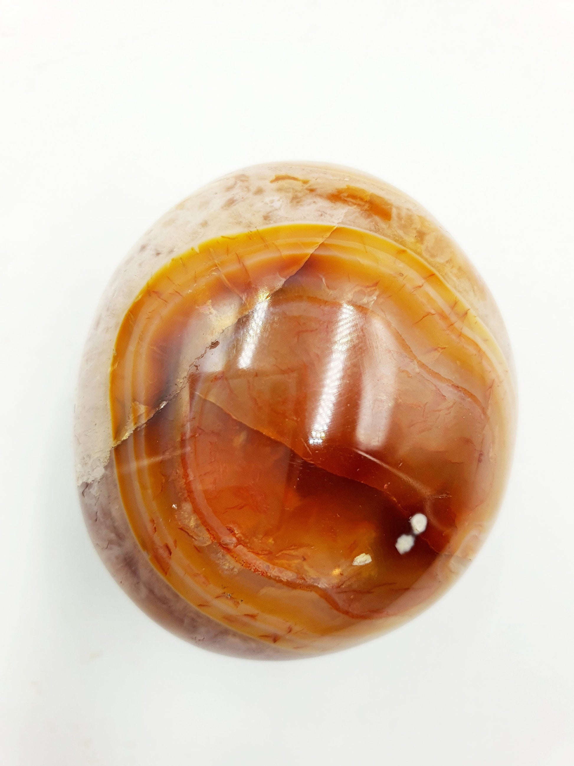 Large Carnelian Palm