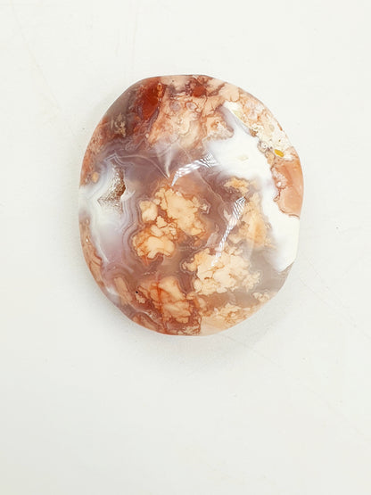 Pink Agate Palm