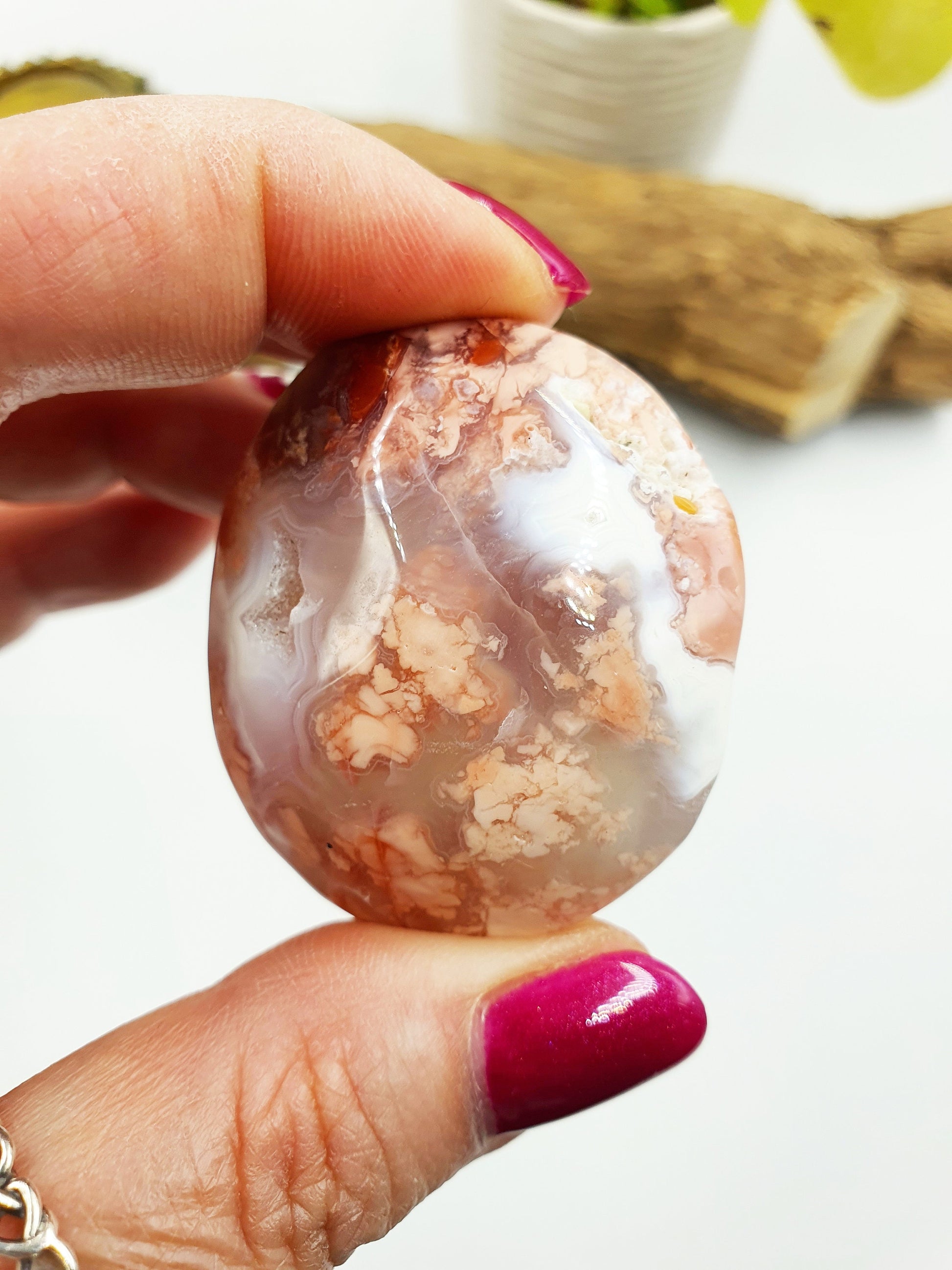 Pink Agate Palm