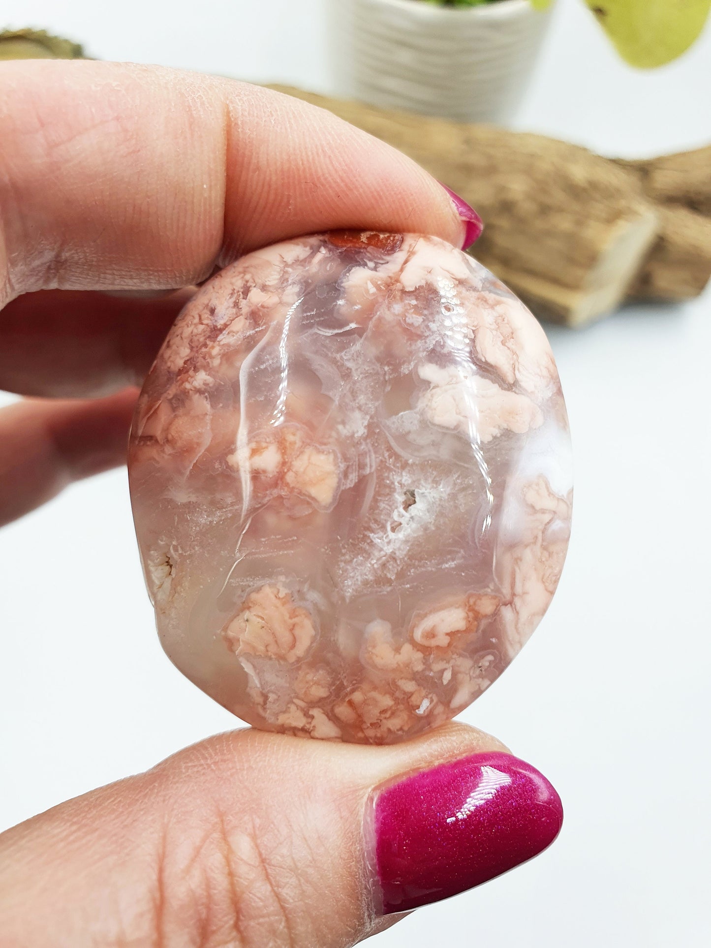 Pink Agate Palm