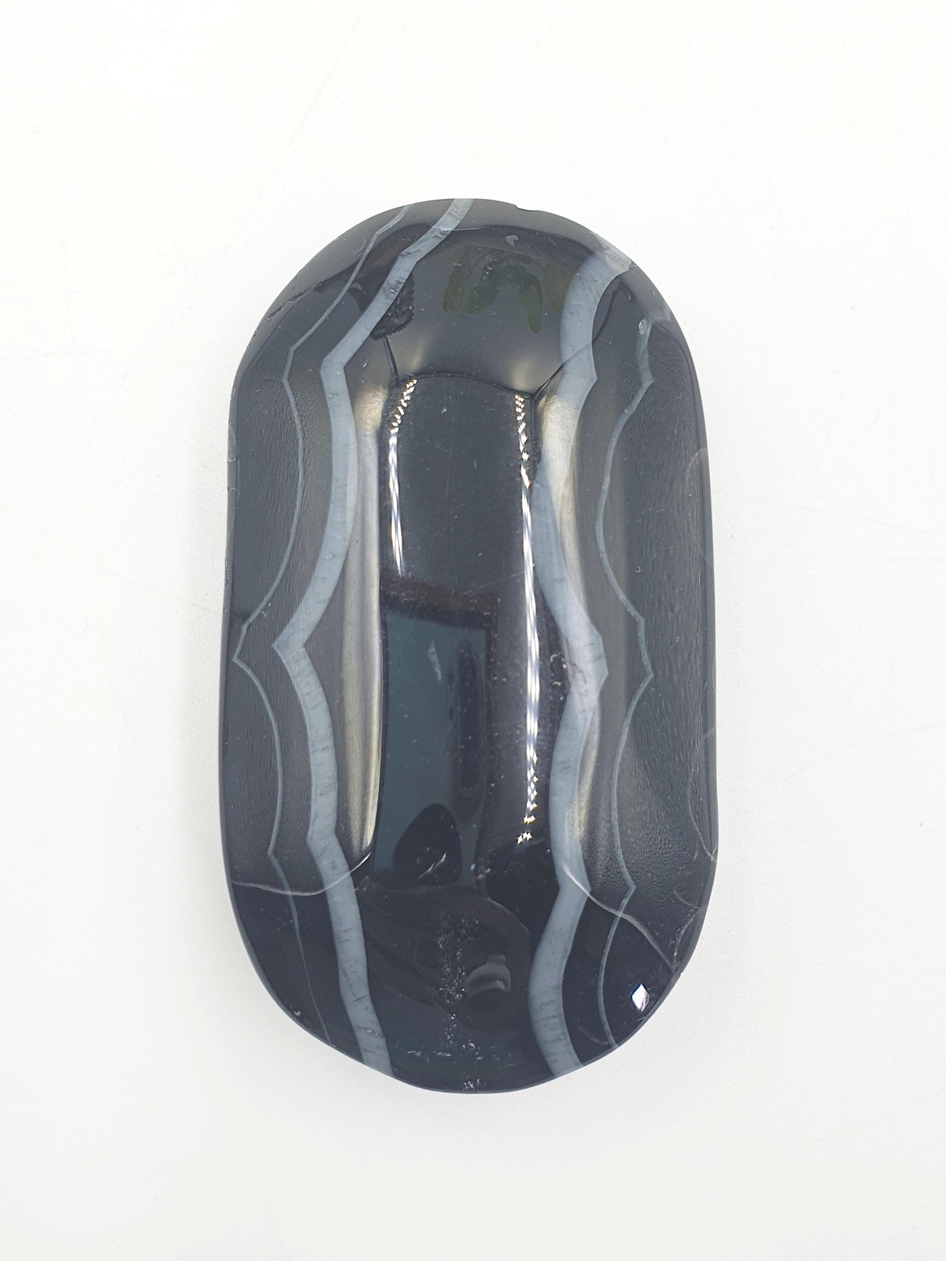 Large Black Banded Agate Palm