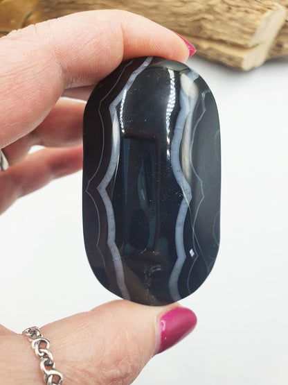 Large Black Banded Agate Palm