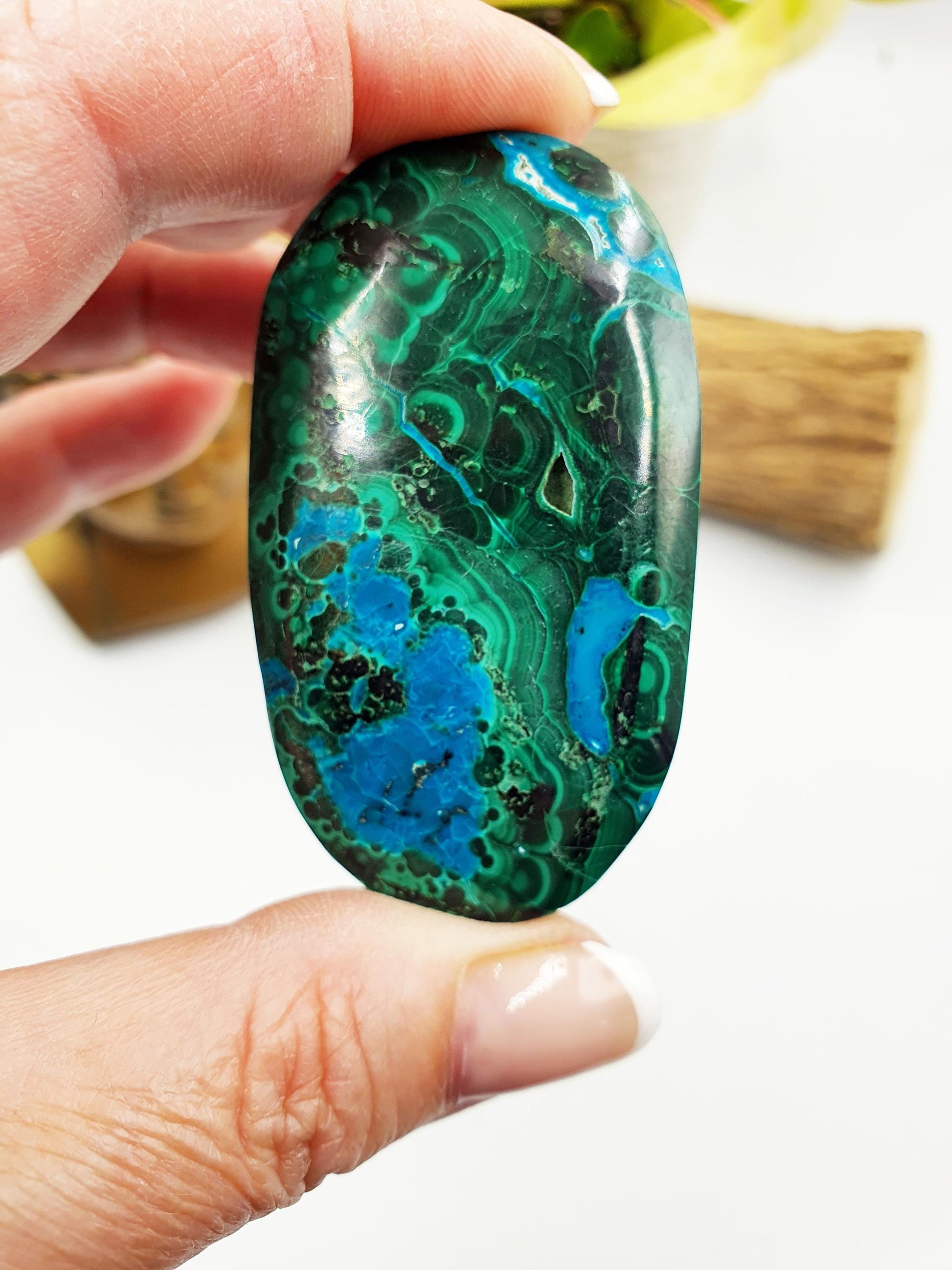 Chrysocolla Palm