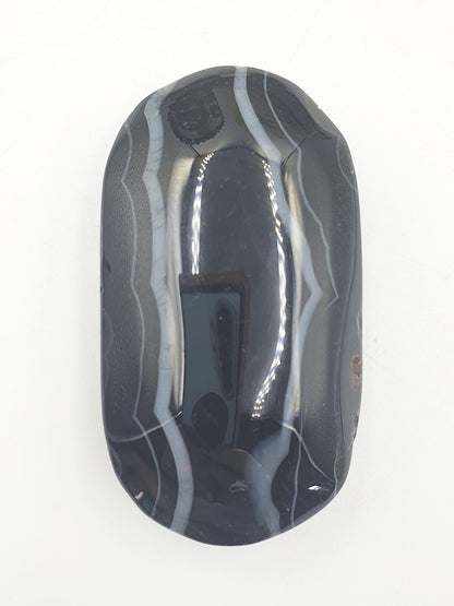 Large Black Banded Agate Palm