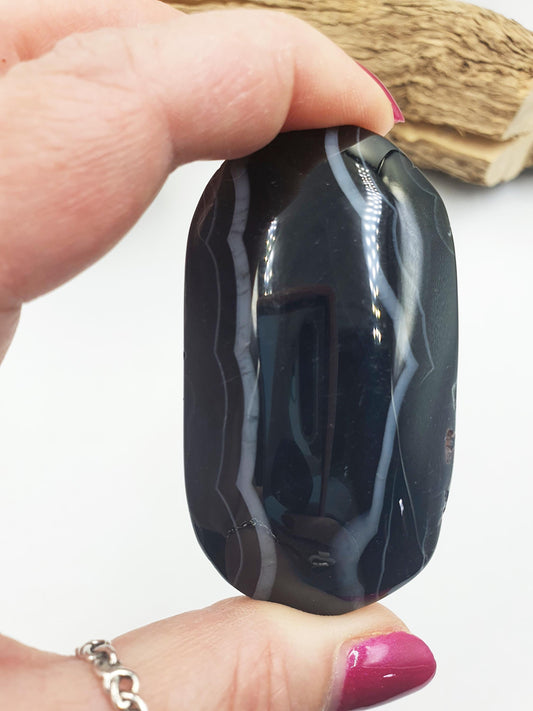 Large Black Banded Agate Palm