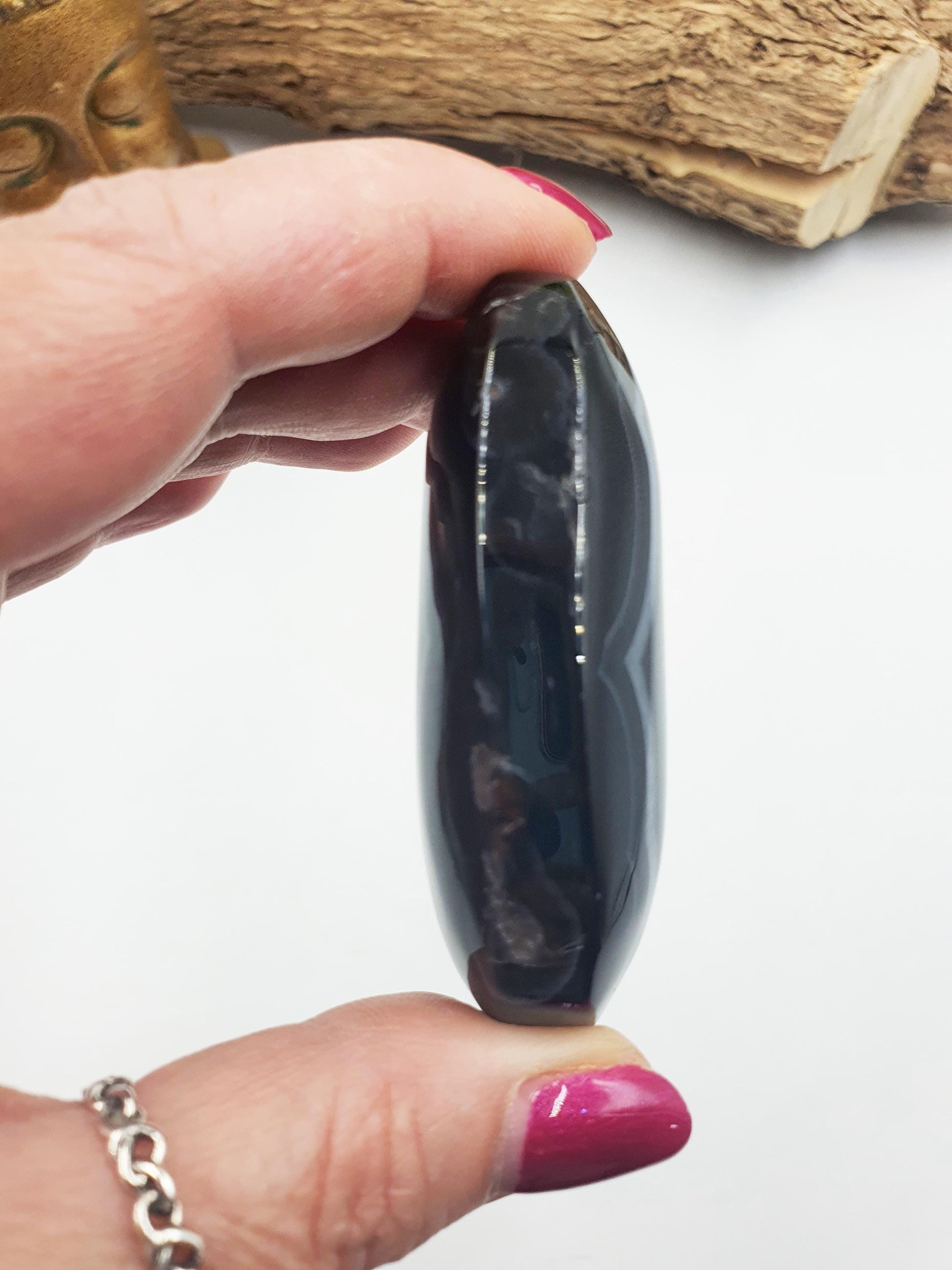 Large Black Banded Agate Palm