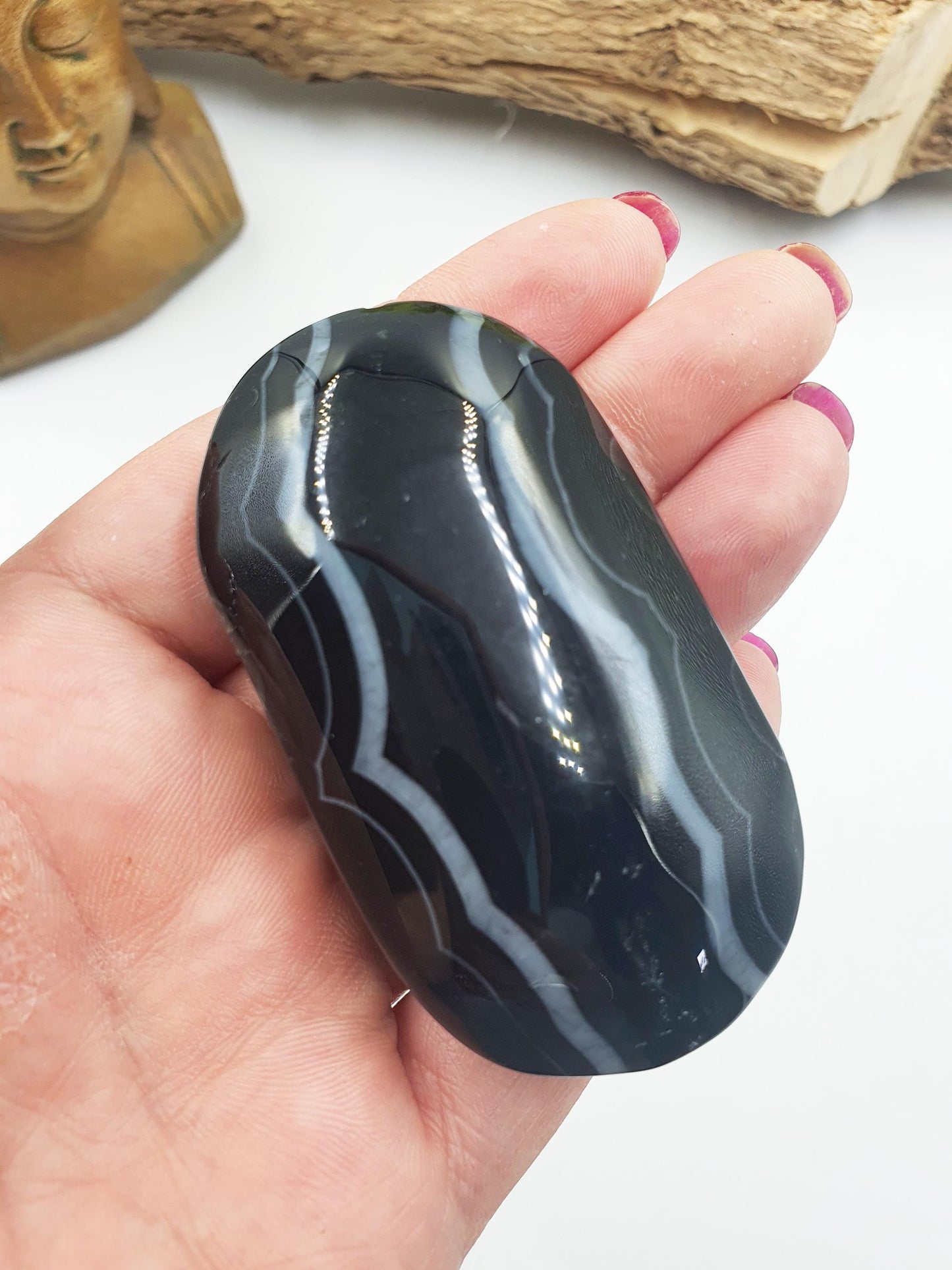 Large Black Banded Agate Palm