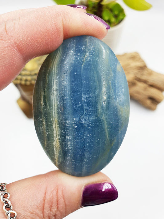 Blue Onyx Palm