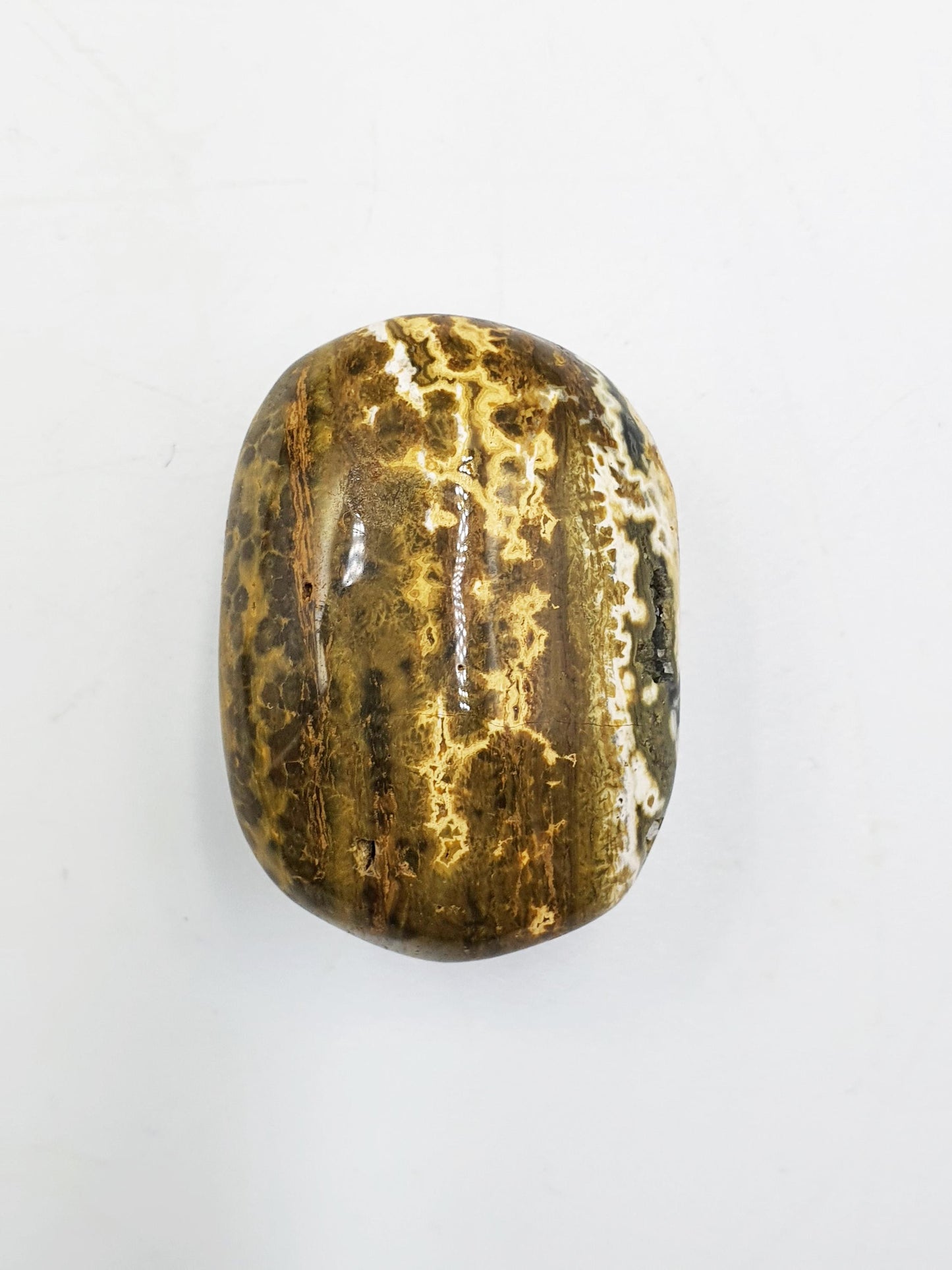 Ocean Jasper Palm