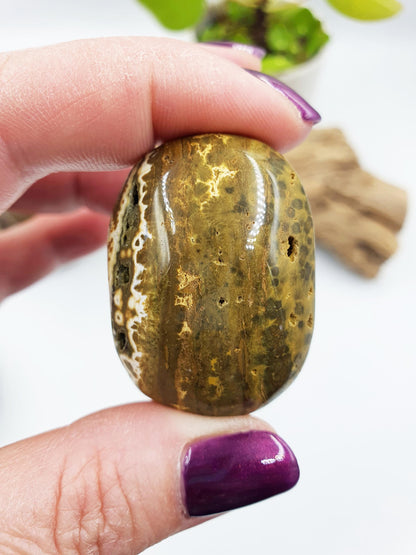 Ocean Jasper Palm