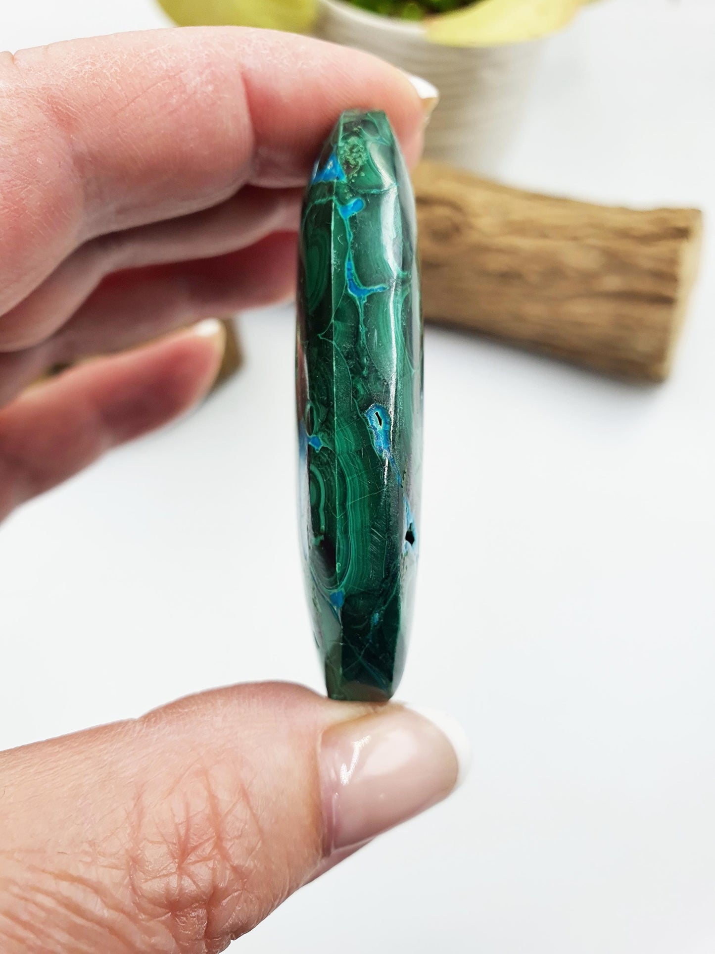 Chrysocolla Palm